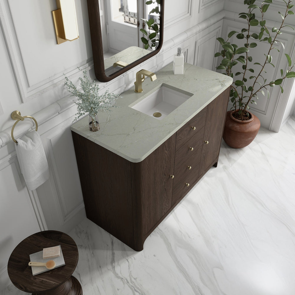 
                  
                    Gracyn 48" Single Vanity in Sable Single Bathroom Vanity James Martin Vanities Victorian Silver Silestone 
                  
                